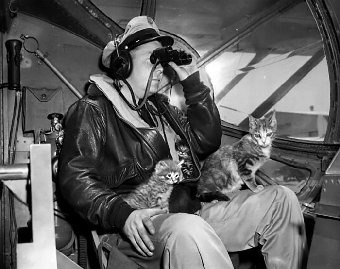 "Salty" Mascot Of The San Diego Coast Guard Air Station, Introduced Her Kittens To The Dramatic Side Of The Sea-Serve Life Early 