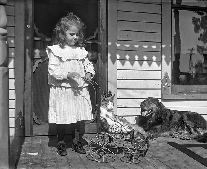 This Photo Was Taken In Cleveland, Ohio, Circa Early 1900. A Cute Kid, Dog, And A Cat Who Knows He's The Boss