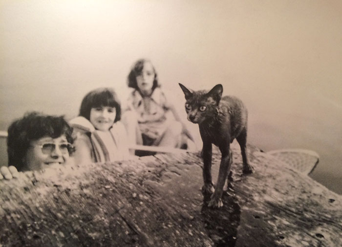 My Mother And Her Two Sisters After Pulling A Cat Out Of The Potomac River In The Early Seventies