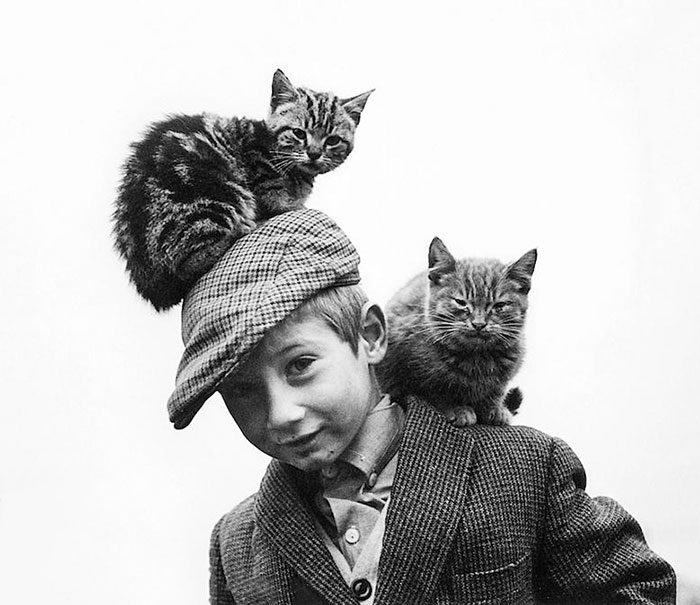 Dan Flynn And His Cats, Labre Park, 1967