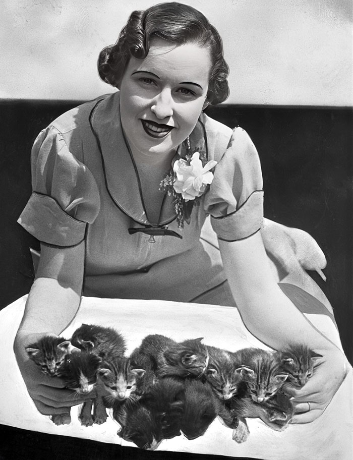 Ethel Knox With 12 Newborn Kittens, Los Angeles, 1935