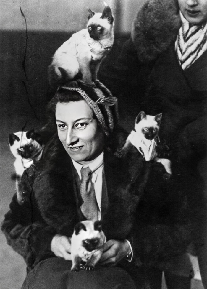 Miss C. Bateman With Her Little Family Of Siamese Cats, At The Cat Show, Crystal Palace