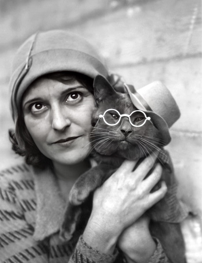 Puzzums Was One Of The Greatest Feline Actor Stars Of The Late 1920s