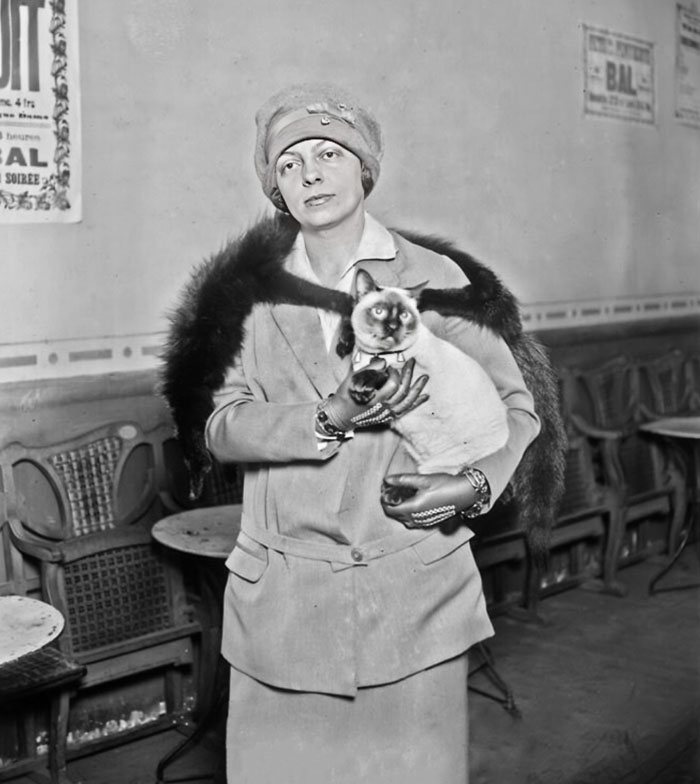 Cat Show In The Wagram Room, Organized By Mrs. Marcelle Adam, President Of The Cat Club De France