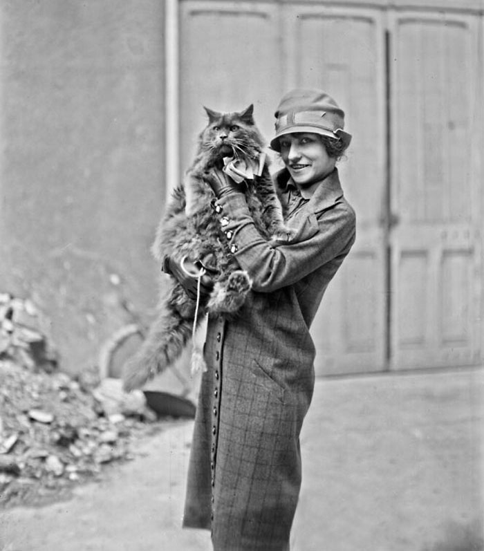 Mrs. Marcelle Adam, President Of The Cat Club De France And Blue Persian In 1926