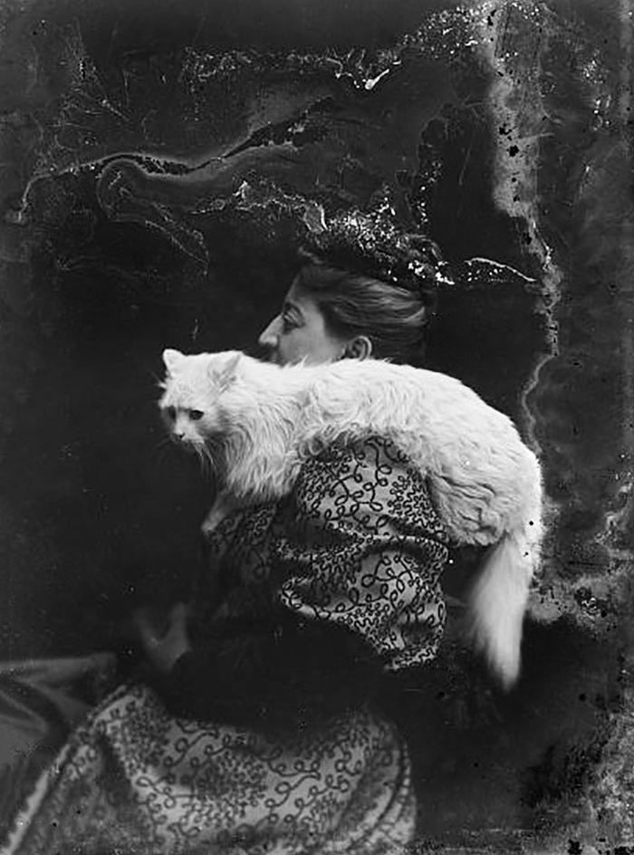 Woman And A Cat