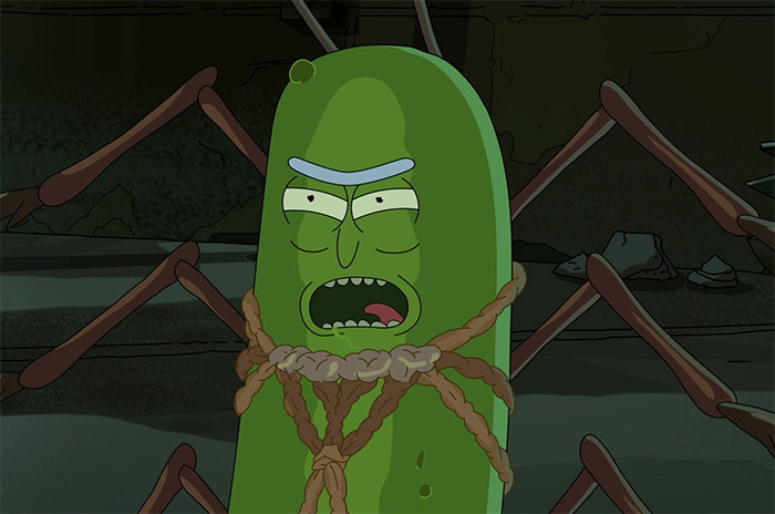 Pickle Rick from Rick and Morty
