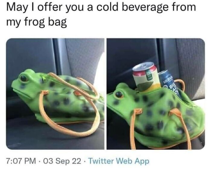 12 Of The Frog Bag
