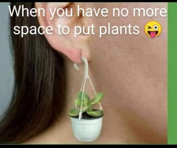 As A Plant Addict, I Need 12