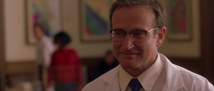 robin williams as a doctor in what dreams may come
