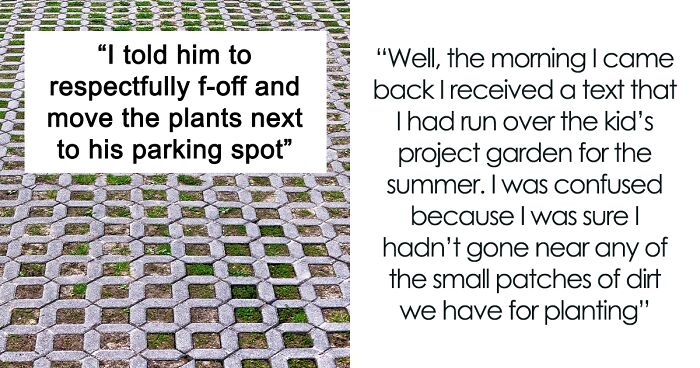 Neighbor Ruins Kid’s Botany Project Over And Over As Parents Keep Putting It In Her Parking Spot
