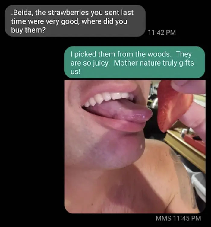 The Person Who Gave A Very Detailed Strawberry Update To A Scammer