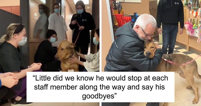 Heartwarming Video Showing Shelter Dog Saying Goodbye To Staff Members After Being Adopted