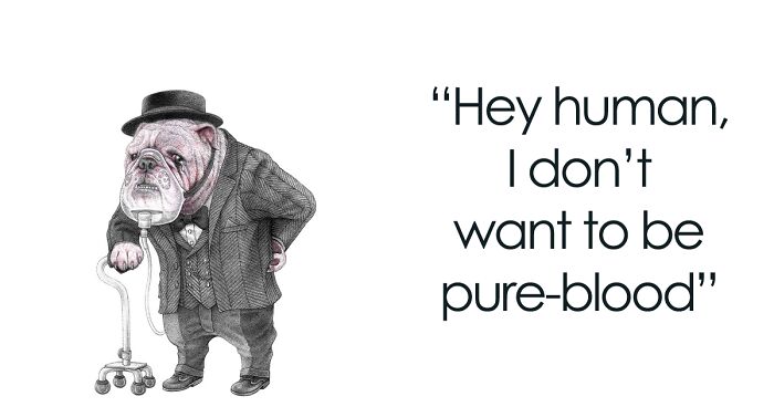 24 New Uncomfortable Illustrations This Artist Created About Animal Cruelty