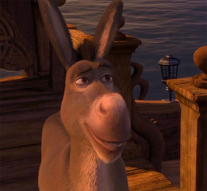 Donkey talking