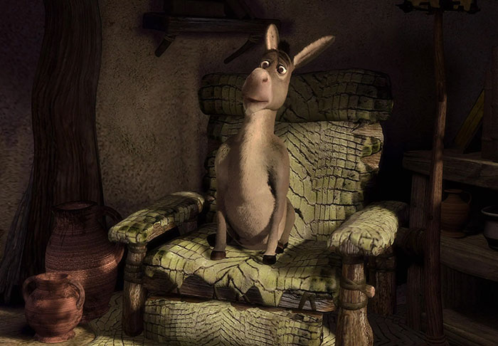 Donkey sitting in the chair