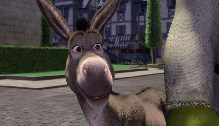 Donkey smiling