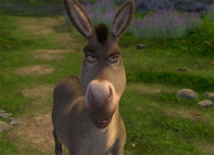 Donkey angry