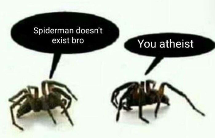 Two spiders having a humorous conversation about Spiderman's existence.