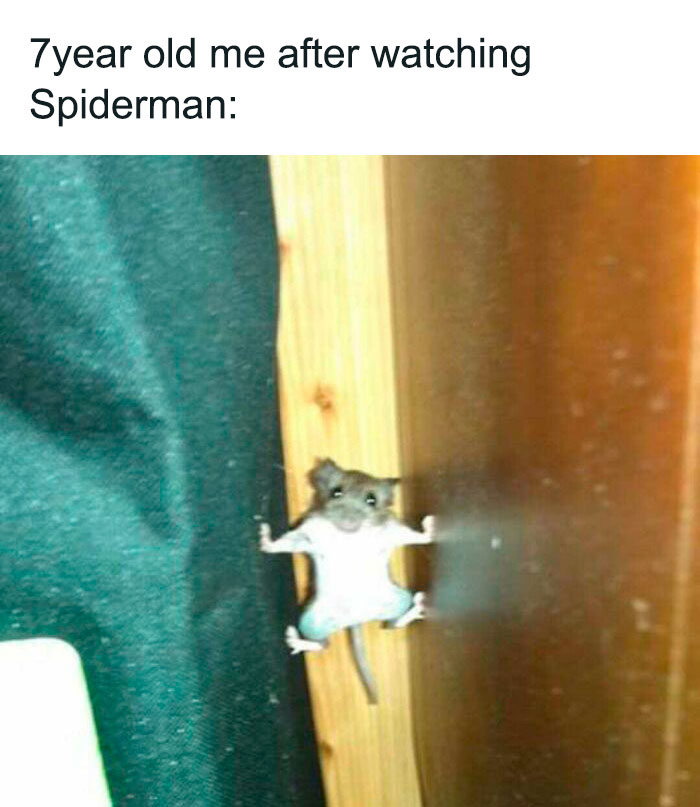 Mouse on a wall mimicking Spiderman, evoking a humorous take on superhero enthusiasm.