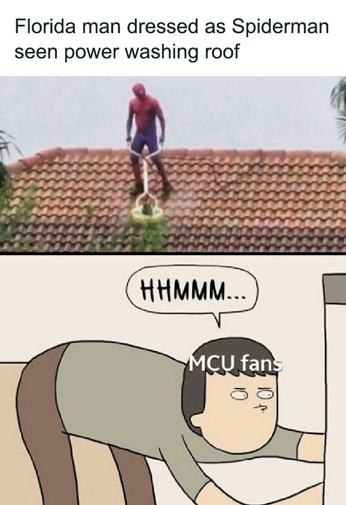 real spiderverse spiderman meme