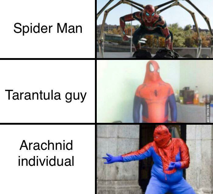 spiderman synonym meme