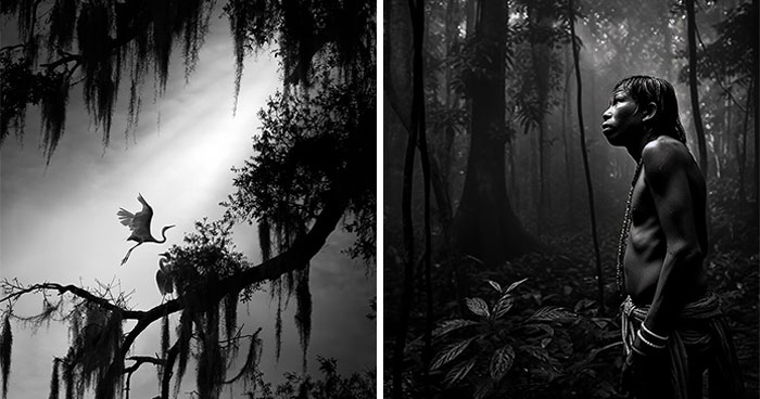 25 Of The Most Beautiful Black And White Images Taken By Photographers From All Over The World