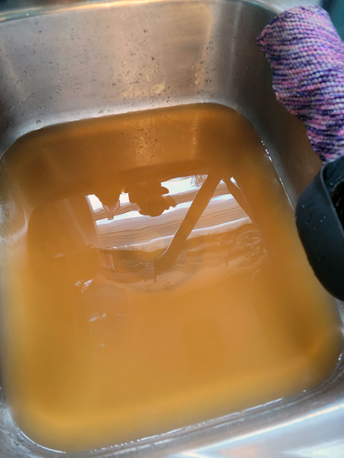 This Is Our Tap Water That We've Contacted Our Landlord Multiple Times About