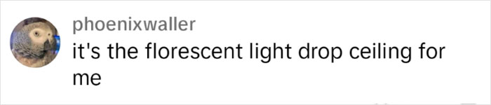 “I’ve Never Seen It Done So Lazily”: Horrid Converted Office Apartment Costing $520,000 Goes Viral