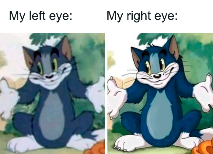 Left and right eye vision difference Tom from Tom And Jerry meme
