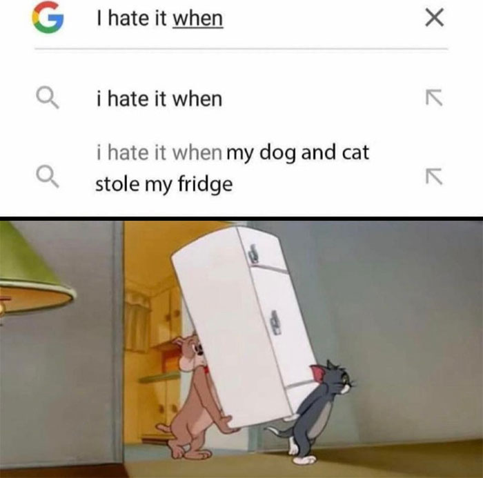 I hate it when my dog and cat stole my fridge Tom And Jerry meme