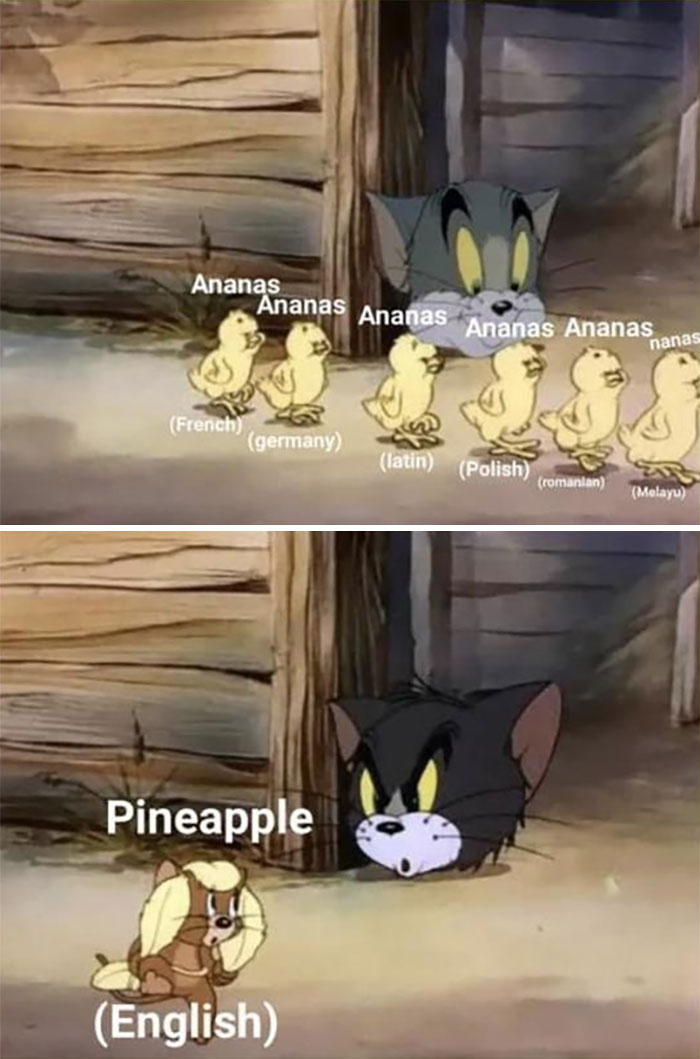 Word pineapple in several languages Tom And Jerry meme