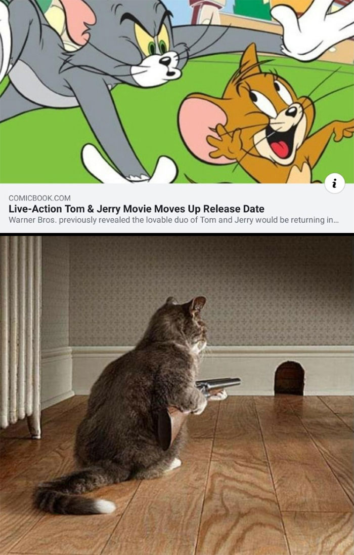 Live action Tom And Jerry movie being released meme