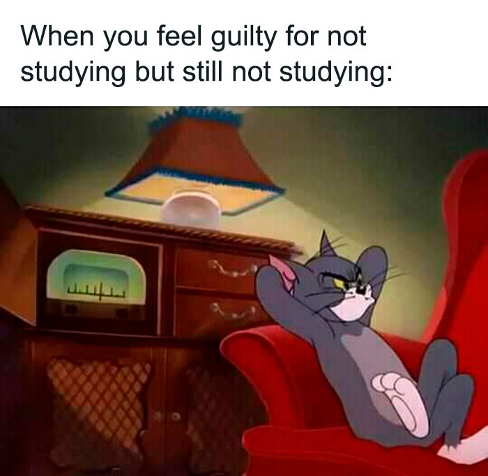 Guilty for not studying but still not studying annoyed Tom from Tom And Jerry meme