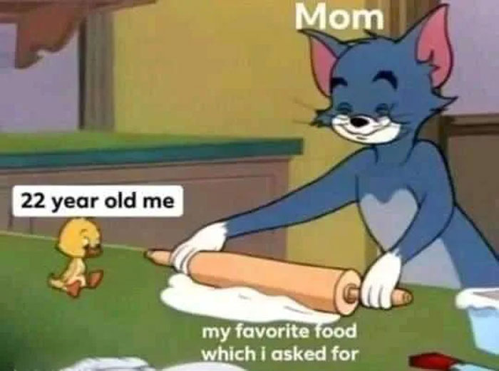 Mom making my favorite food for 22 year old me Tom from Tom And Jerry meme