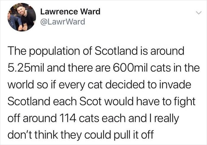 114 Is A Lot Of Cats, For Sure