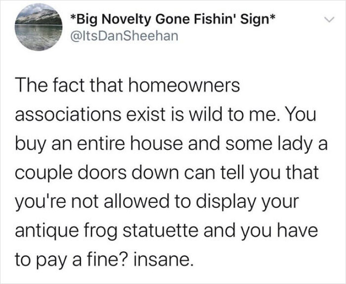 What Did The Frog Do?