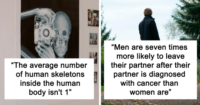 “The Average Number Of Human Skeletons Inside The Human Body Isn’t 1”: 30 Facts That Sound Fake But Are True, As Shared Online