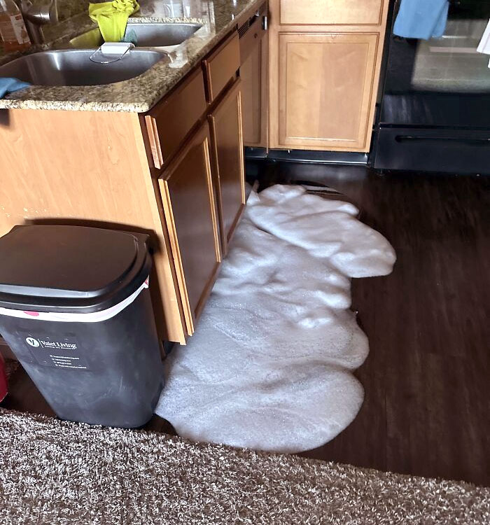 Well, Dish Soap Is Not Meant For The Dishwasher I Guess