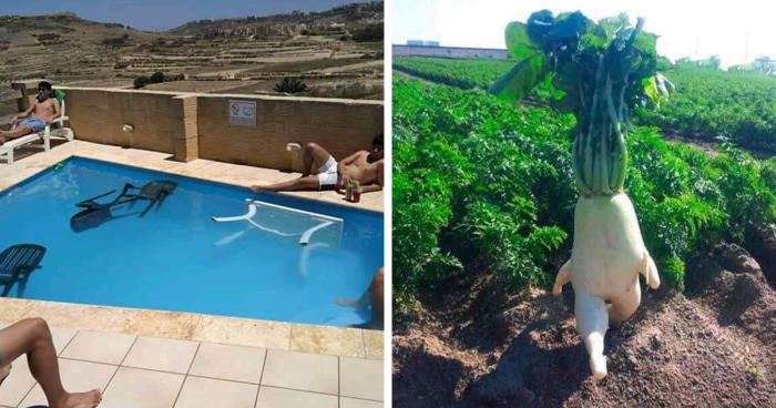 “Unusual Images”: 30 Of The Most Comically Bizarre Pics Shared By This Facebook Page