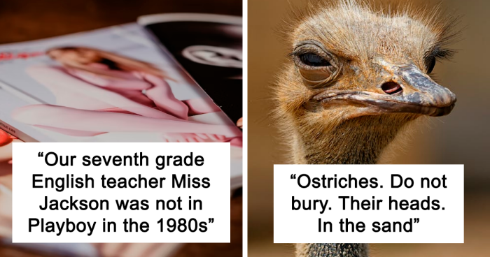 45 Annoying ‘Facts’ And Urban Legends People Have To Finally Stop Believing