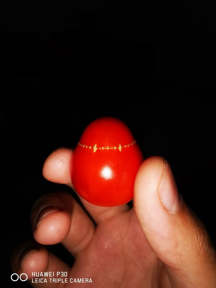 Tomato That Looks Like Fall Guys