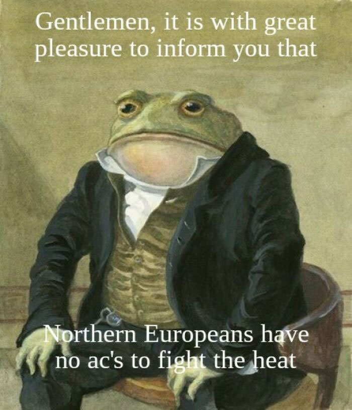 Funny Gentlemen frog meme 