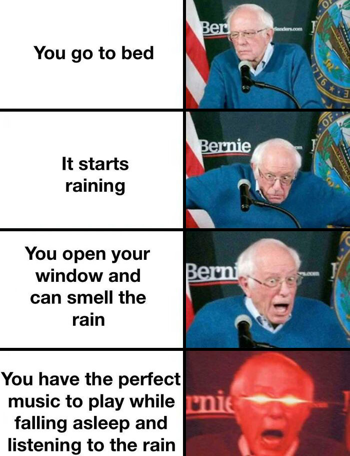 Bernie Sanders weather meme 
