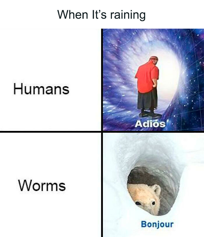 worm and people weather meme 
