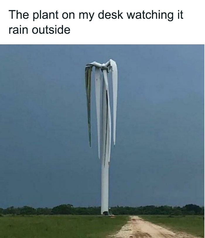 Melted Windmill meme 