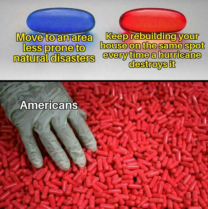 Red and Blue pill meme