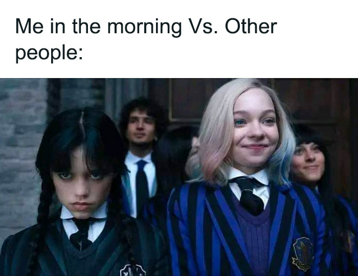 the difference between me and the other people in the morning Wednesday meme