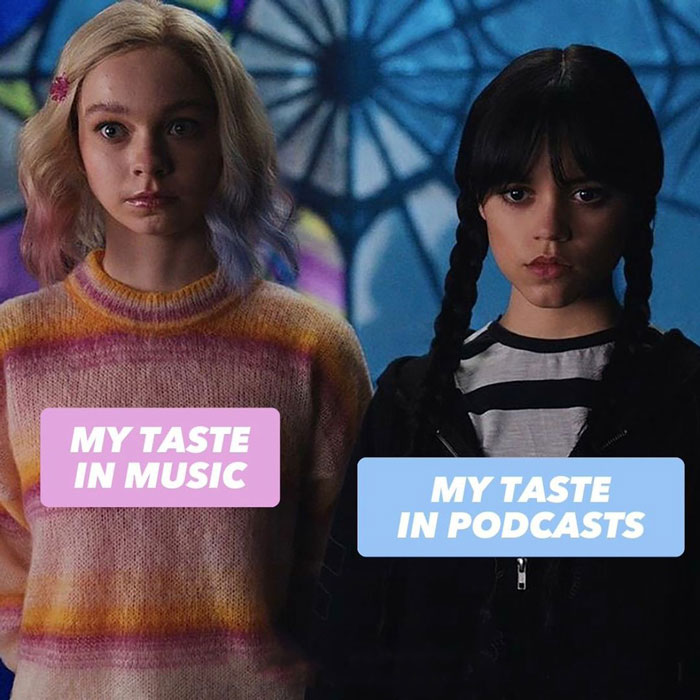 tastes in music and in podcasts Wednesday Netflix meme