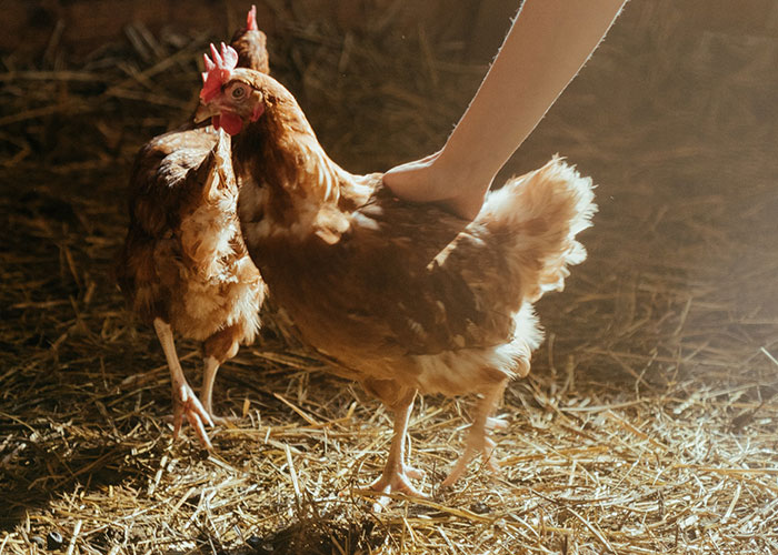 35 Must-Know ‘This Actually Works’ Tricks, As Shared By People Online